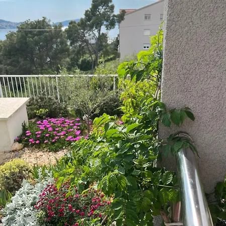 Mikola With Sea View