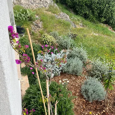 Mikola With Sea View Apartment Trogir