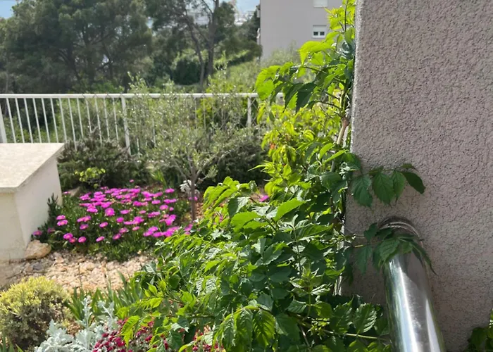 Mikola With Sea View