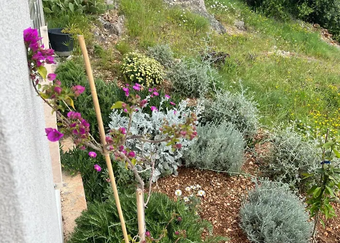 Mikola With Sea View Appartement Trogir